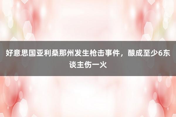 好意思国亚利桑那州发生枪击事件，酿成至少6东谈主伤一火