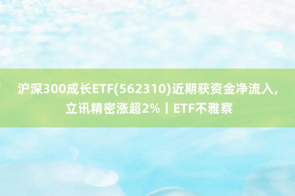 沪深300成长ETF(562310)近期获资金净流入, 立讯精密涨超2%丨ETF不雅察