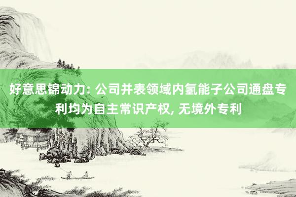 好意思锦动力: 公司并表领域内氢能子公司通盘专利均为自主常识产权, 无境外专利