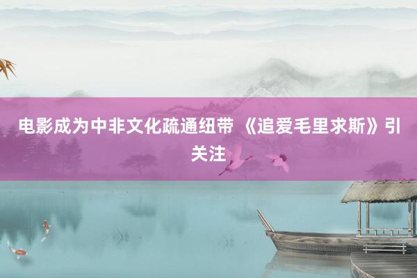 电影成为中非文化疏通纽带 《追爱毛里求斯》引关注