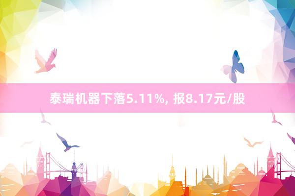 泰瑞机器下落5.11%, 报8.17元/股