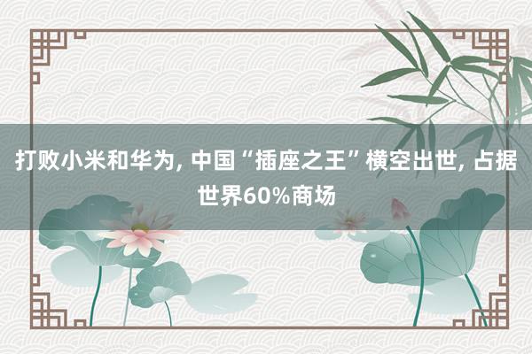 打败小米和华为, 中国“插座之王”横空出世, 占据世界60%商场