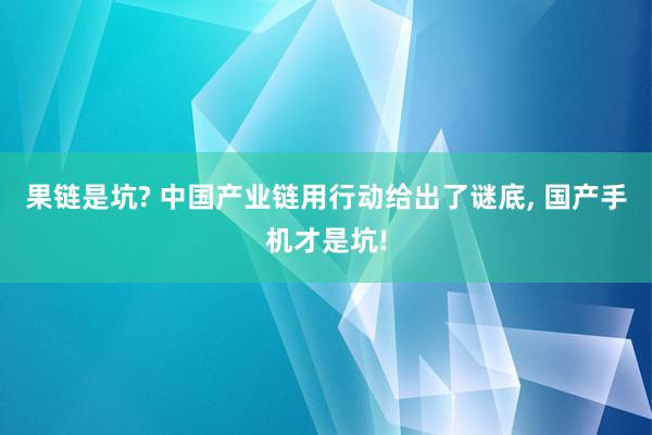 果链是坑? 中国产业链用行动给出了谜底, 国产手机才是坑!