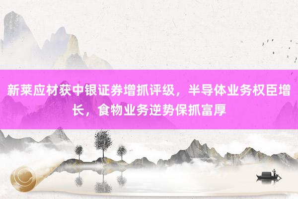 新莱应材获中银证券增抓评级，半导体业务权臣增长，食物业务逆势保抓富厚