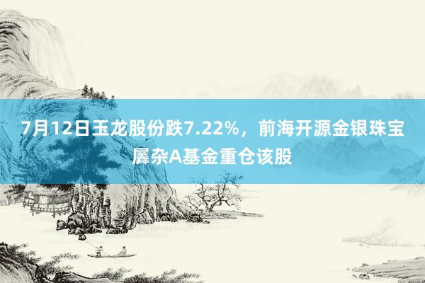 7月12日玉龙股份跌7.22%，前海开源金银珠宝羼杂A基金重仓该股