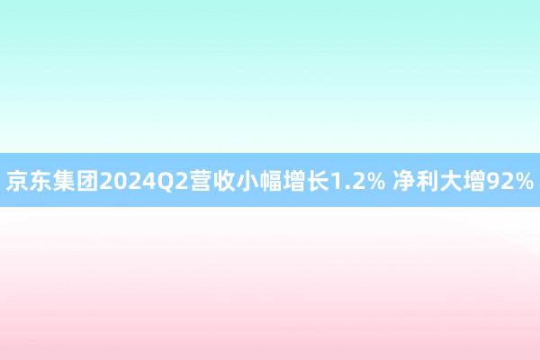 京东集团2024Q2营收小幅增长1.2% 净利大增92%