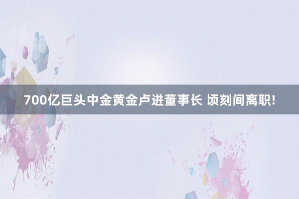 700亿巨头中金黄金卢进董事长 顷刻间离职!