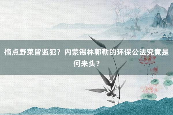 摘点野菜皆监犯？内蒙锡林郭勒的环保公法究竟是何来头？