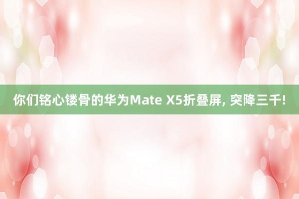 你们铭心镂骨的华为Mate X5折叠屏, 突降三千!