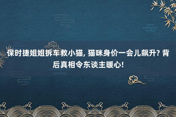 保时捷姐姐拆车救小猫, 猫咪身价一会儿飙升? 背后真相令东谈主暖心!