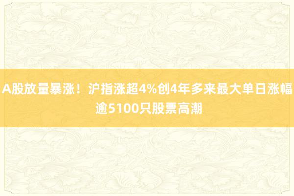 A股放量暴涨！沪指涨超4%创4年多来最大单日涨幅 逾5100只股票高潮