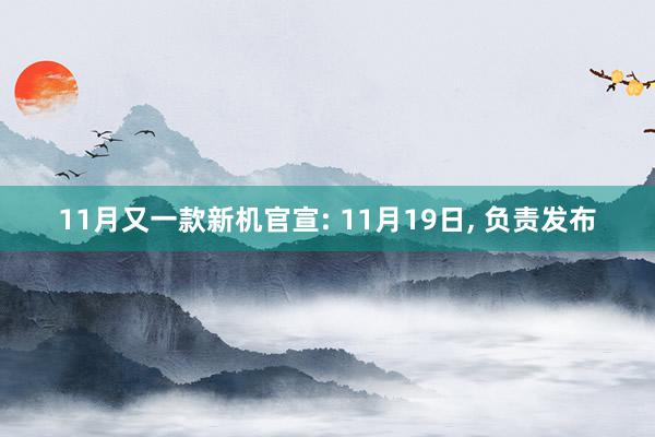 11月又一款新机官宣: 11月19日, 负责发布