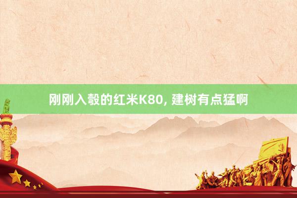 刚刚入彀的红米K80, 建树有点猛啊