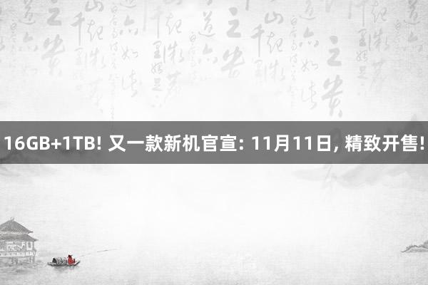 16GB+1TB! 又一款新机官宣: 11月11日, 精致开售!