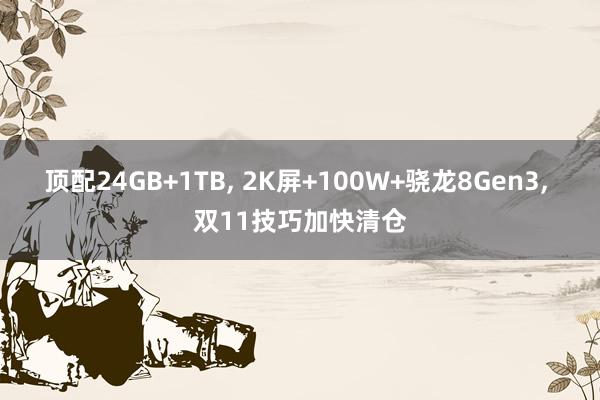 顶配24GB+1TB, 2K屏+100W+骁龙8Gen3, 双11技巧加快清仓