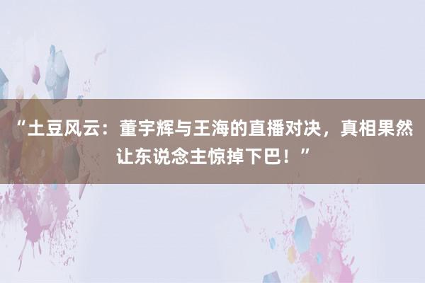 “土豆风云：董宇辉与王海的直播对决，真相果然让东说念主惊掉下巴！”