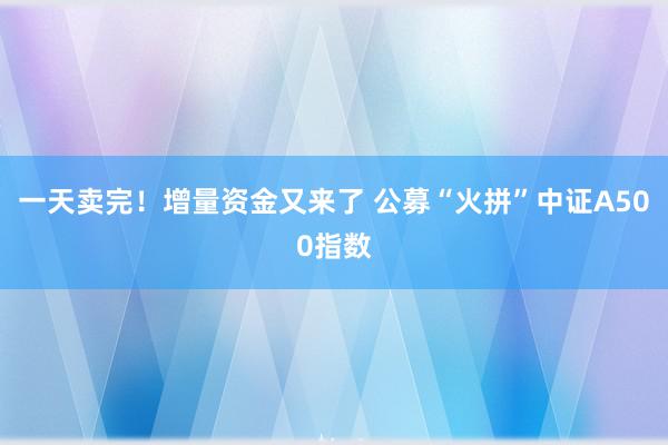 一天卖完！增量资金又来了 公募“火拼”中证A500指数