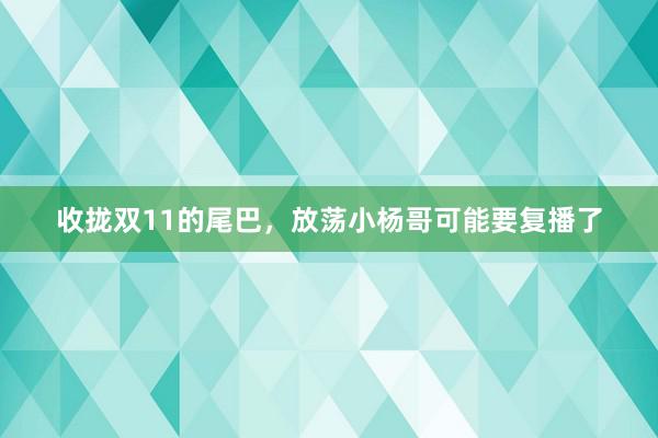 收拢双11的尾巴，放荡小杨哥可能要复播了